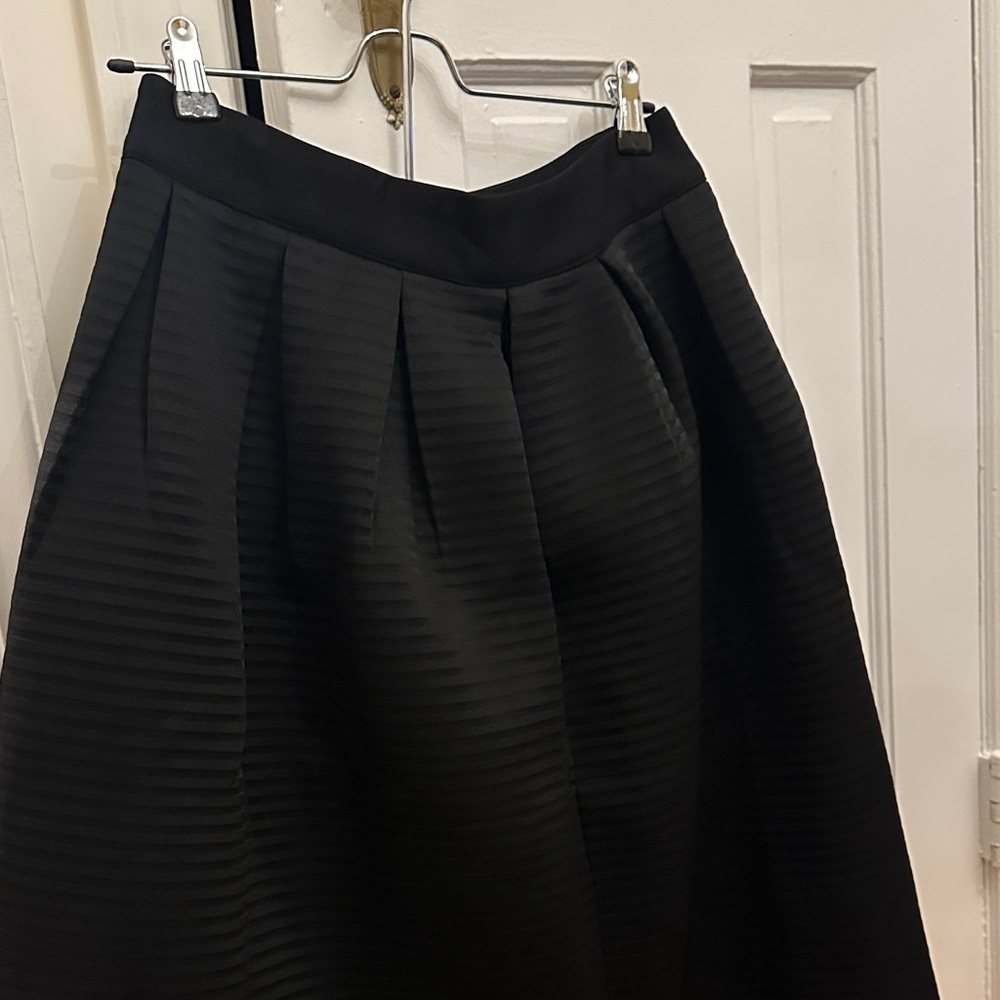 Elegant Black Pleated Skirt